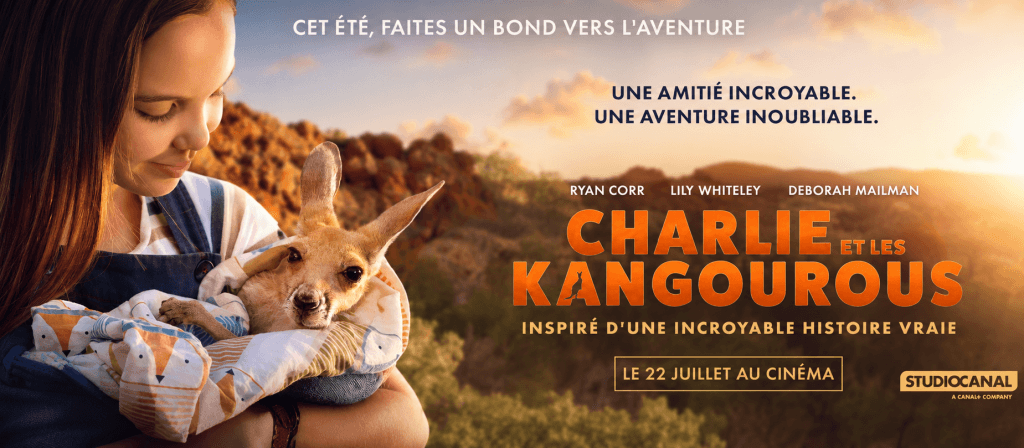actualité kang